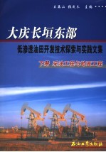 大庆长垣东部低渗透油田开发技术探索与实践文集 下 采油工程与地面工程