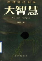 大智慧 思场流控制学