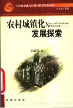 中国城市化与区域可持续发展研究 农村城镇化发展探索