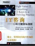 IT咨询 12项关键指标剖析