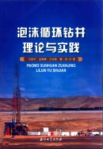 泡沫循环钻井理论与实践