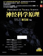 神经科学原理   英文版　 原书第5版　 下