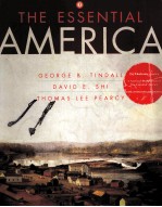 THE ESSENTIAL AMERICA VOLUME 1