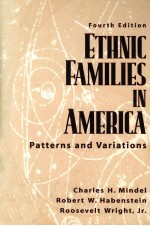 ETHNIC FAMILIES IN AMERICA:PATTERNS AND VARIATIONS FOURTH EDITION