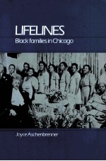 LIFELINES:BLACK FAMILIES IN CHICAGO