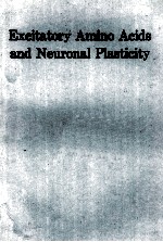 EXCITATORY AMINO ACIDS AND NEURONAL PLASTICITY