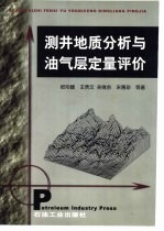 测井地质分析与油气层定量评价