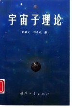 宇宙子理论