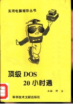 顶级DOS20小时通