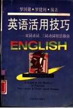 英语活用技巧  双词、三词动词用法指南