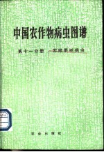 中国农作物病虫图谱 第11分册 常绿果树病虫