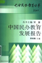 中国民办教育发展报告