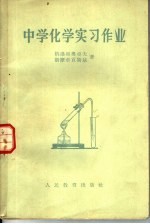 中学化学实习作业