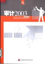 2003年度注册会计师全国统一考试应试指导丛书 审计