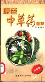 原色中草药图集 根茎 2