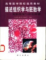 描述组织学与胚胎学 实验指导与彩色图谱