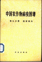 中国农作物病虫图谱  第9分册  蔬菜病虫