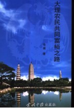 大理农民共同富裕之路 大营村纪实