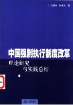 中国强制执行制度改革 理论研究与实践总结