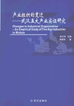 产业组织的变迁 武汉五大产业实证研究