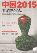 中国2015 看清新常态