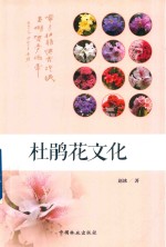 杜鹃花文化