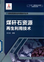 废物资源综合利用技术丛书 煤矸石资源再生利用技术