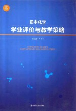 学业评价与教学策略 初中化学