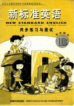 新标准英语 九年义务教育初级中学英语教材（实验本） 同步练习与测试 1B 初中起点