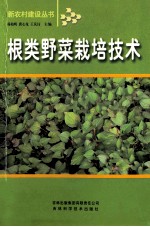 根类野菜栽培技术