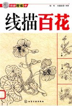 线描百花