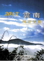 云南统计年鉴2013