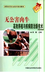 无公害肉牛高效养殖与疾病防治新技术