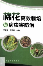 棉花高效栽培与病虫害防治技术