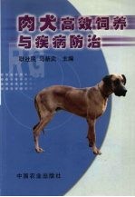 肉犬高效饲养与疾病防治