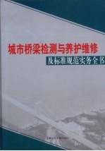 城市桥梁检测与养护维修及标准规范实务全书 第2卷