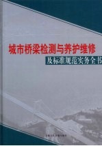 城市桥梁检测与养护维修及标准规范实务全书 第3卷