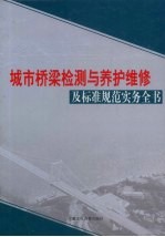 城市桥梁检测与养护维修及标准规范实务全书 第4卷