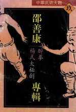 中华武术大观 9 邵善康专辑 醉拳、杨式太极剑