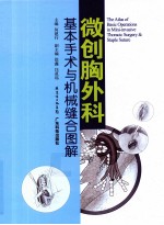 微创胸外科基本手术与器械缝合图解