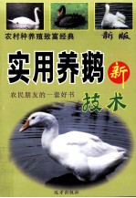 农村种养殖致富经典  科学养蜂鹅新技术