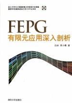 FEPG有限元应用深入剖析