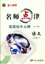 名师点津·课课练单元测 语文 七年级 下 配人教版