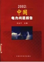 2002：中国电力问题报告