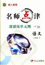 名师点津·课课练单元测 语文 六年级 下 配人教版