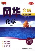 风华金帆 同步训练 化学 九年级 全1册