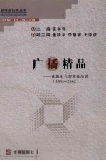 广播精品 沈阳电台获奖作品选