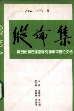 纵论集 黄石市黄石港区学习邓小平理论文选