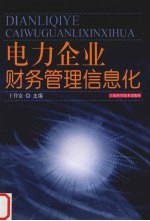 电力企业财务管理信息化