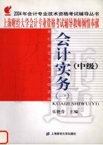 2004年会计专业技术资格考试辅导丛书 中级 会计实务 1